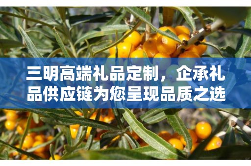 三明高端礼品定制，企承礼品供应链为您呈现品质之选