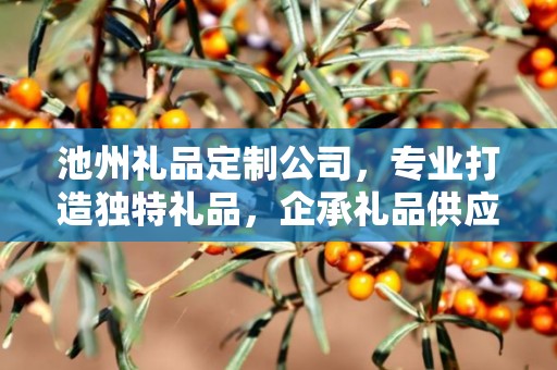 池州礼品定制公司，专业打造独特礼品，企承礼品供应链引领行业新风尚