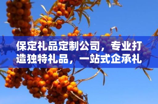 保定礼品定制公司，专业打造独特礼品，一站式企承礼品供应链服务