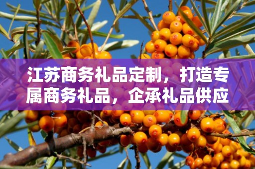 江苏商务礼品定制，打造专属商务礼品，企承礼品供应链助力商务发展