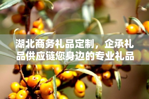 湖北商务礼品定制，企承礼品供应链您身边的专业礼品定制公司