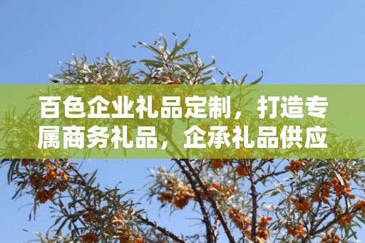 百色企业礼品定制，打造专属商务礼品，企承礼品供应链为您助力