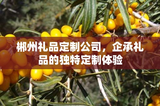 郴州礼品定制公司，企承礼品的独特定制体验