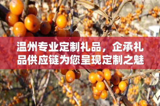 温州专业定制礼品，企承礼品供应链为您呈现定制之魅力