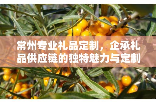 常州专业礼品定制，企承礼品供应链的独特魅力与定制之旅