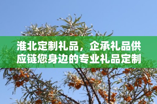 淮北定制礼品，企承礼品供应链您身边的专业礼品定制公司