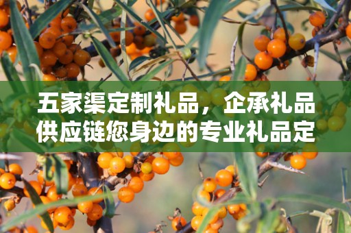 五家渠定制礼品，企承礼品供应链您身边的专业礼品定制公司