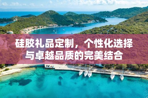 硅胶礼品定制，个性化选择与卓越品质的完美结合